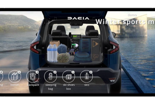 Dacia AR Boot Organizer