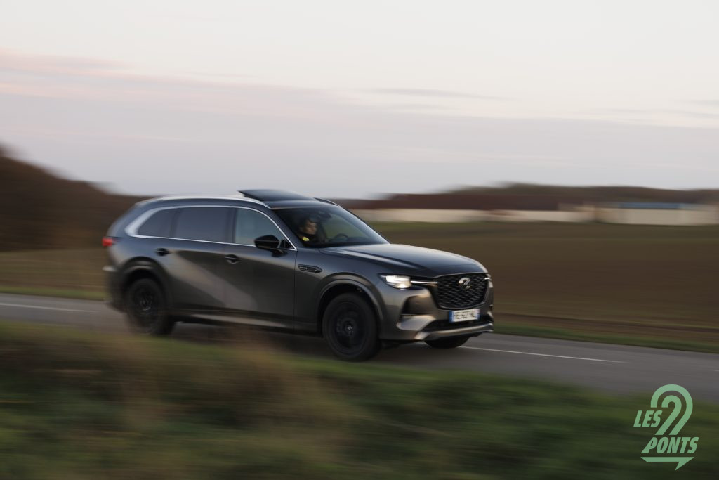 Le régulateur adaptatif est parfois capricieux ; les assistances à la conduite parfois trop intrusives quand elles détectent une situation à risque.